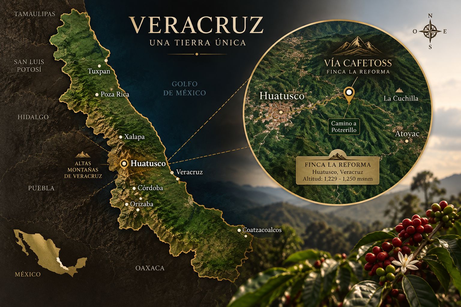 Mapa original del Brand Book Vía Cafetoss: Veracruz y ubicación de Huatusco y Finca La Reforma
